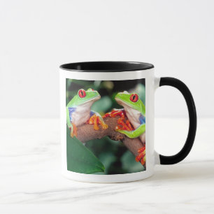 Caneca Par de Rãs-Arvore de Olho Vermelho, Agalychinis ca