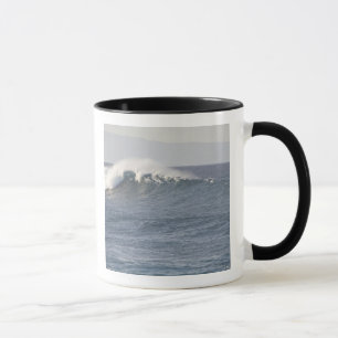 Caneca Parque da Praia Hookipa, Costa Norte do Maui,