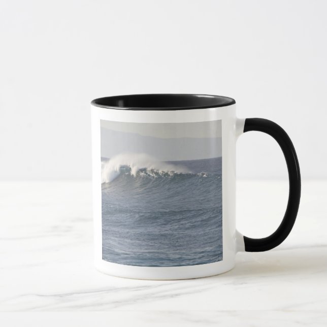 Caneca Parque da Praia Hookipa, Costa Norte do Maui, (Direita)