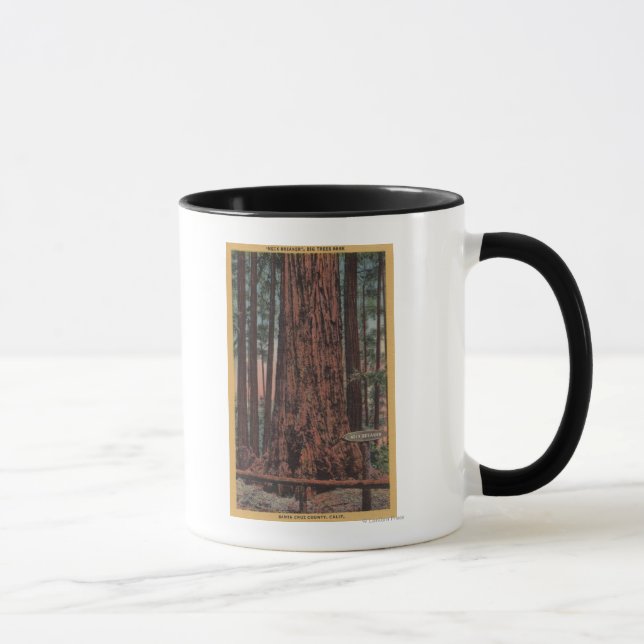 Caneca Parque Estadual das Grandes Árvores, CA - Árvore d (Direita)