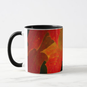 Caneca Parque Estadual de Itasca, Cores de Outono 2