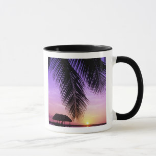 Caneca Parque Estadual John Pennekamp, Florida Keys, Key