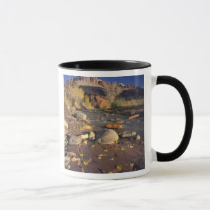 Caneca PARQUE NACIONAL CAPITOL REEF, UT, EUA, Cottonwood