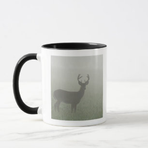 Caneca Parque nacional de Great Smoky Mountains,
