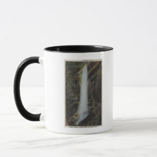 Caneca Parque nacional de Great Smoky Mountains, TN