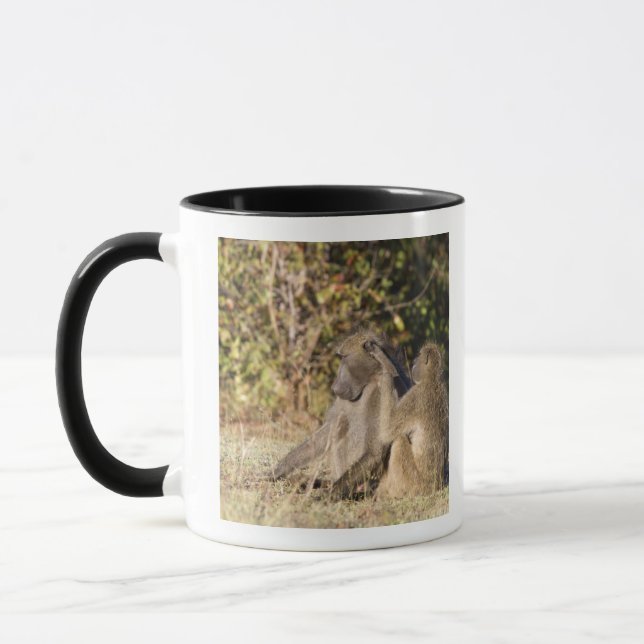 Caneca Parque nacional de Kruger, África do Sul (Esquerda)