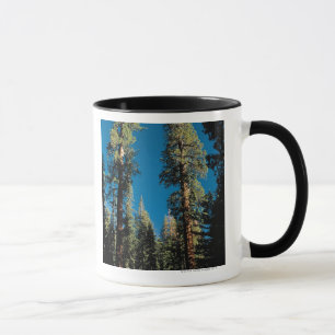 Caneca Parque nacional de sequóia, Califórnia