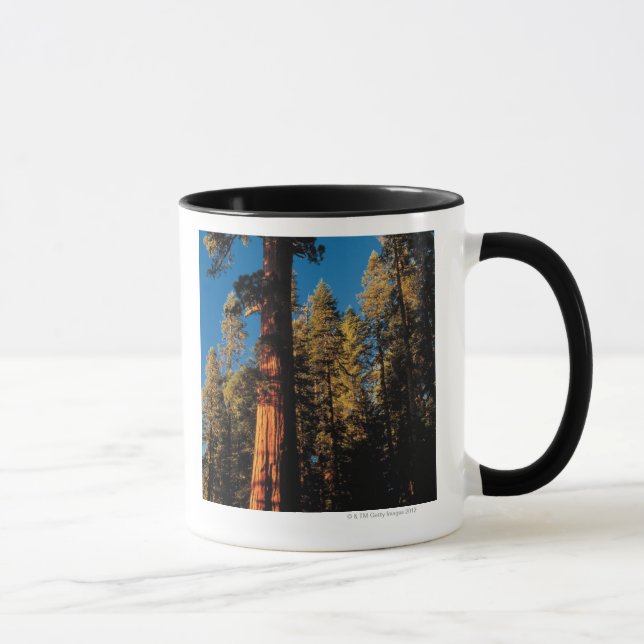 Caneca Parque nacional de sequóia, Califórnia 2 (Direita)