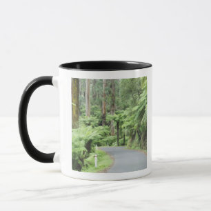 Caneca Parque nacional de Tarra Bulga, escalas de