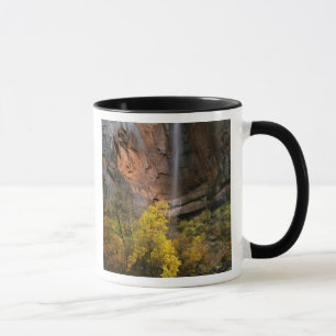 Caneca Parque Nacional de Zion, Utah. EUA. Efêmero