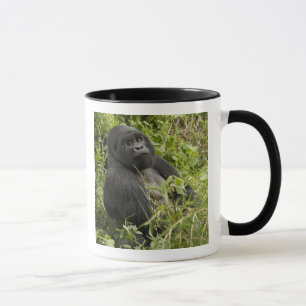 Caneca Parque Nacional dos Vulcões, Gorila da Montanha