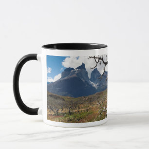 Caneca Parque Nacional Torres del Paine, árvores danifica