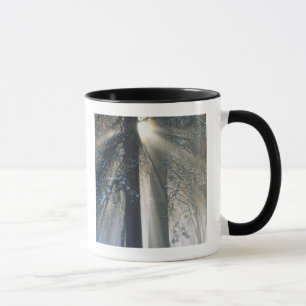 Caneca Parque Nacional Yosemite - Raios Sun em fluxo