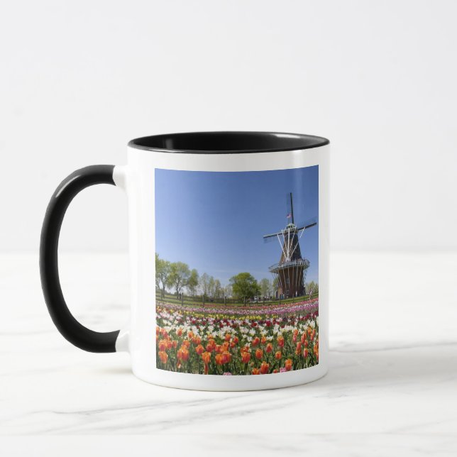 Caneca parque Windmill Island com tulipas em flor em (Esquerda)