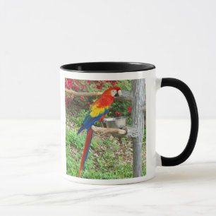 Caneca Parrot Ringer Mug