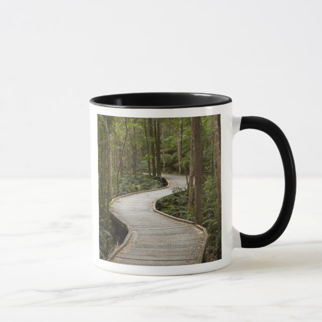 Caneca Passarela para Nelson Falls, Franklin - Gordon (Direita)