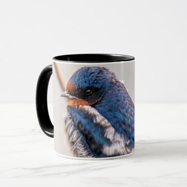 Caneca Pássaro Azul, Engorda do Barn (Frente Esquerda)