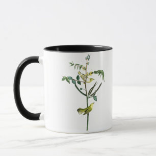 Caneca Pássaros de John Audubon da toutinegra das