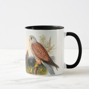 Caneca Pássaros de John Gould do falcão do Kestrel de G