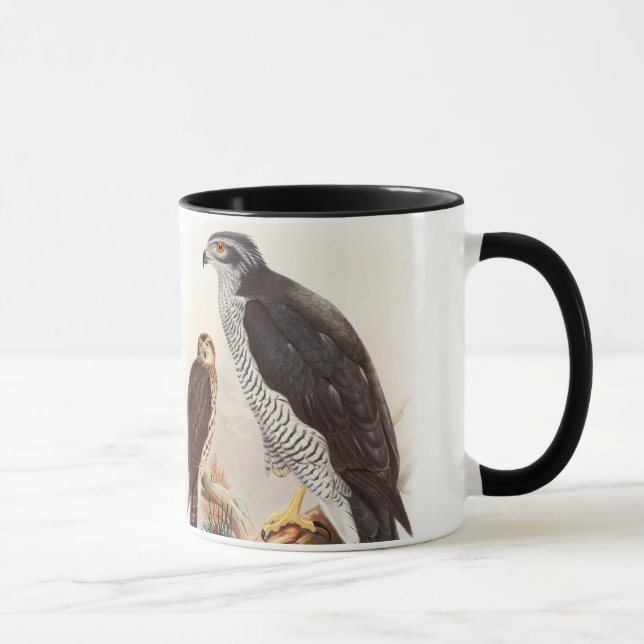 Caneca Pássaros de John Gould do Goshawk de animais (Direita)
