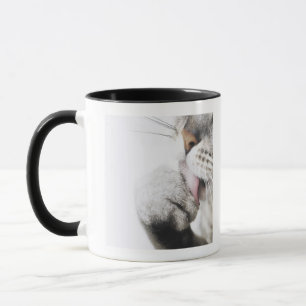 Caneca Pata da limpeza do gato, fim-acima