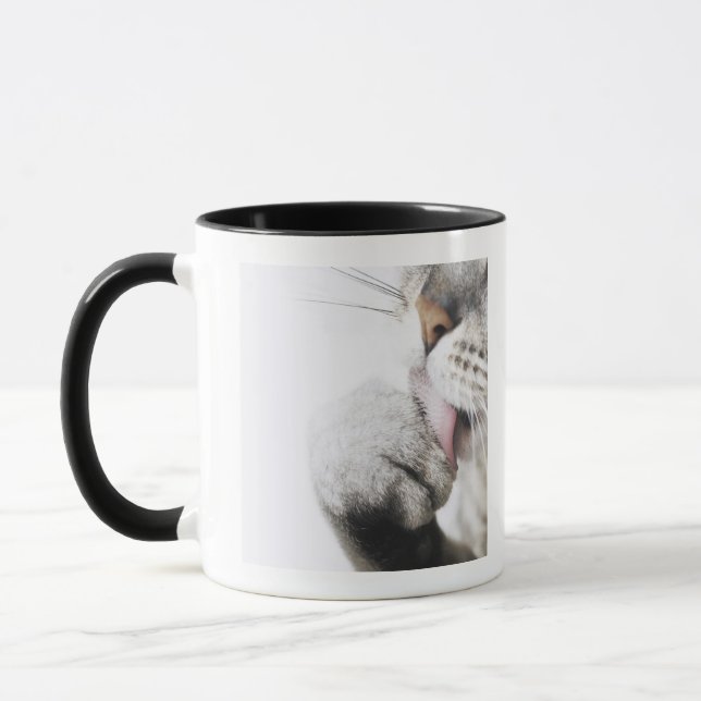 Caneca Pata da limpeza do gato, fim-acima (Esquerda)