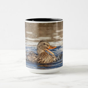 Caneca Pato de Mallard no parque Downing