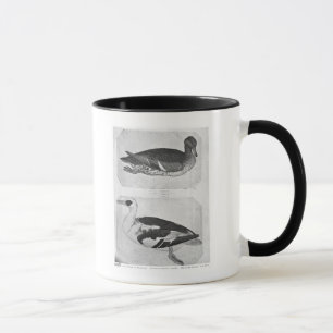 Caneca Patos, o do álbum de Vallardi