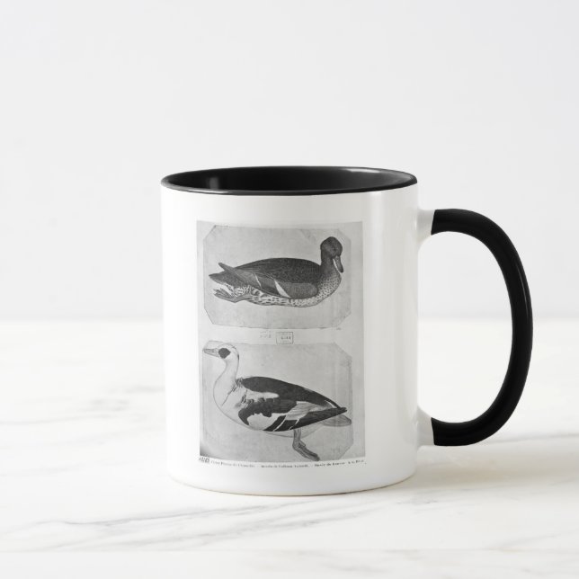 Caneca Patos, o do álbum de Vallardi (Direita)