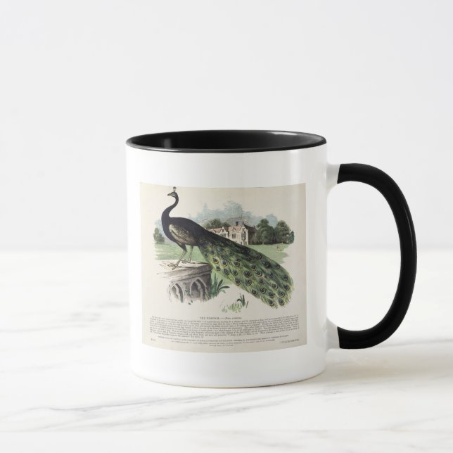 Caneca Pavão (Direita)