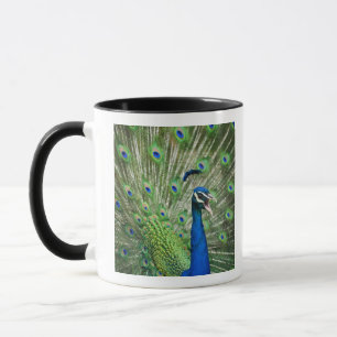 Caneca Pavão gritando
