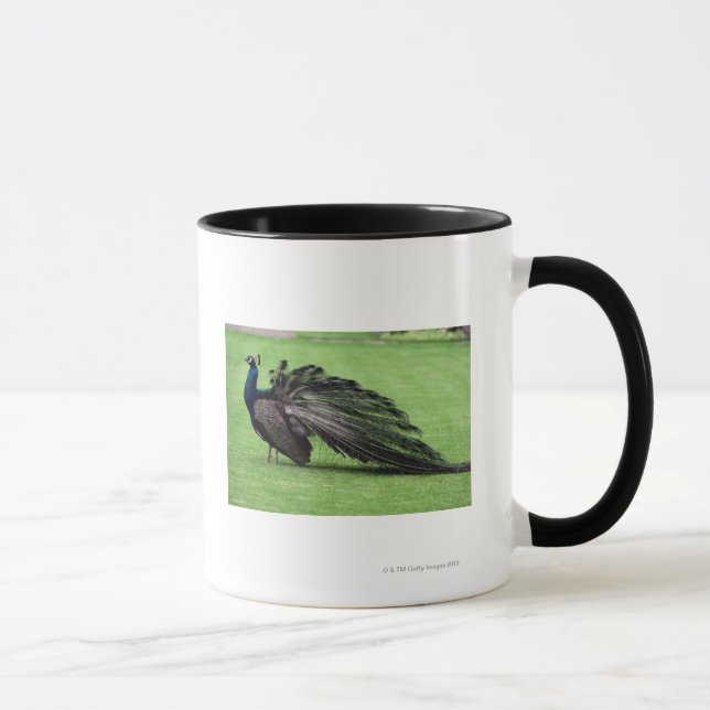 Caneca Pavão no campo (Direita)
