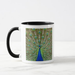 Caneca Pavão que mostra suas penas