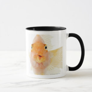 Caneca Peixes de água doce tropicais