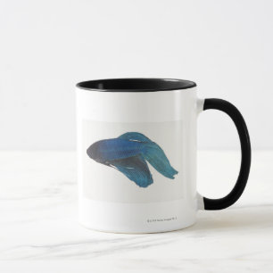 Caneca Peixes de Betta ou peixes de combate Siamese azuis