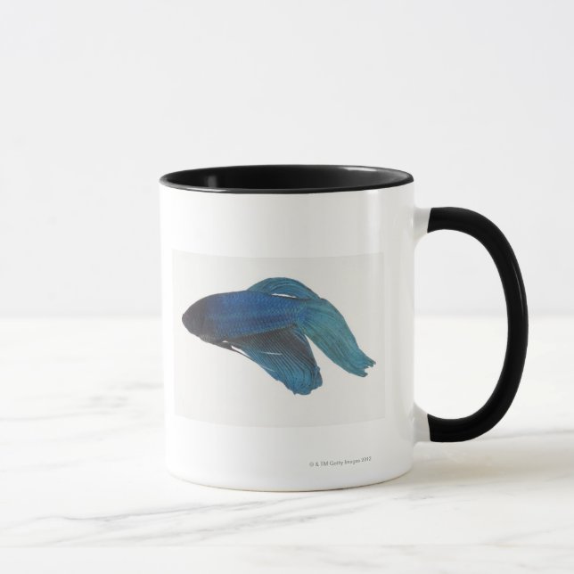 Caneca Peixes de Betta ou peixes de combate Siamese azuis (Direita)