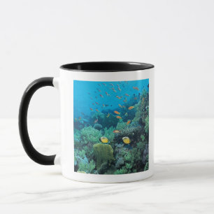 Caneca Peixes tropicais que nadam sobre o recife