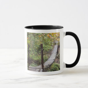 Caneca Pequena ponte pendente, Patrimônio Nacional do Car