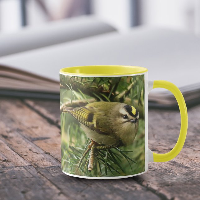 Caneca Pequeno e Bonito Reito Causa Agitação no Fir (Cute Little Kinglet Causes a Stir in the Fir 11 oz Coffee Mug Cover Photo.)