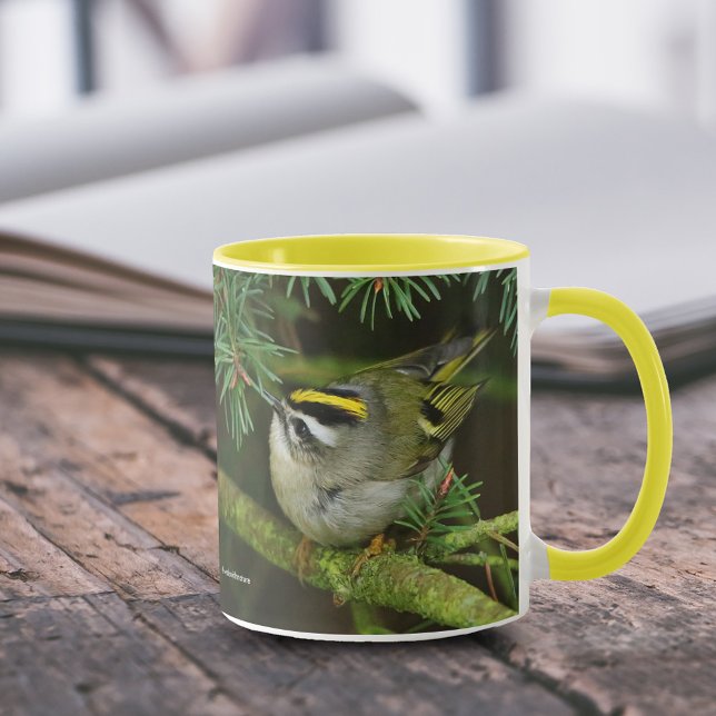 Caneca Pequeno e Bonito Reito Causa Agitação no Fir (Golden-Crowned Kinglet Causing a Stir in the Fir 11 oz Coffee Mug Cover Photo 1.)
