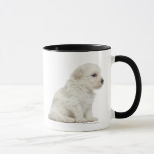 Caneca Pequeno leão de chien ou filhote de cachorro