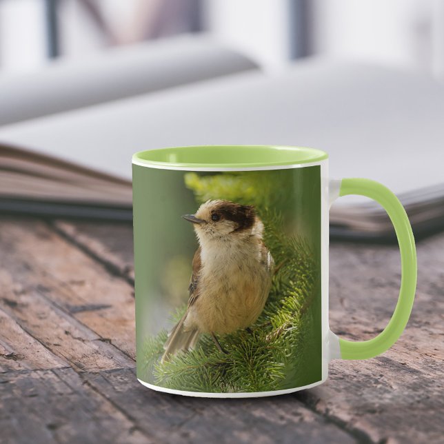 Caneca Perfil de um simpático Canada-jay / Whiskeyjack (Portrait of a Grey Jay Whiskeyjack in the Tree 11 oz Coffee Mug Cover Photo.)