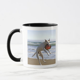 Caneca Persiga o salto para travar um frisbee na praia