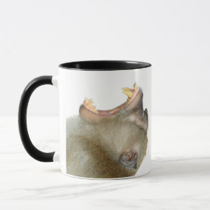 Caneca Personalizada - Me arranje uma bebida! Maca