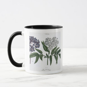 Caneca Pessoa idosa, Fig. 13 "do Landsman novo", publishe