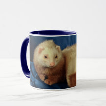 Pet Ferret Personalizado