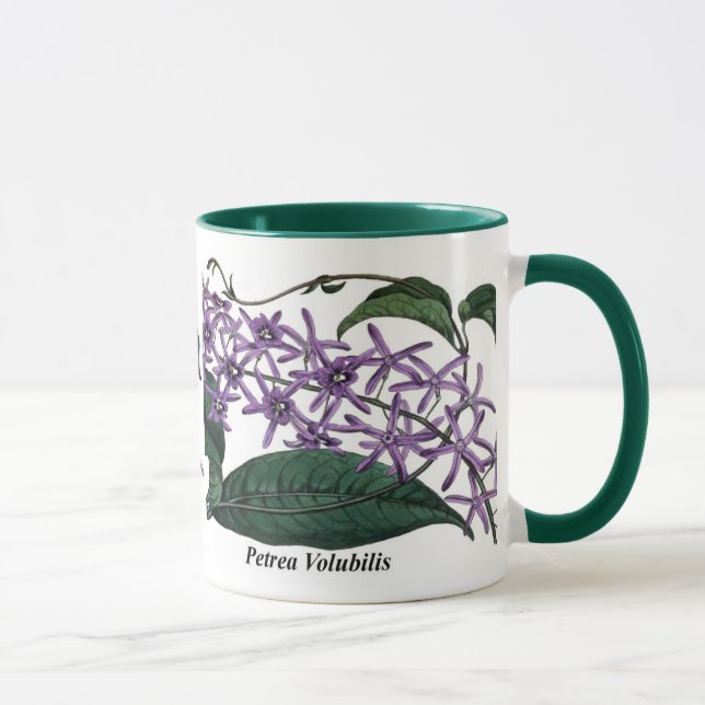 Caneca Petrea Volubilis (Direita)