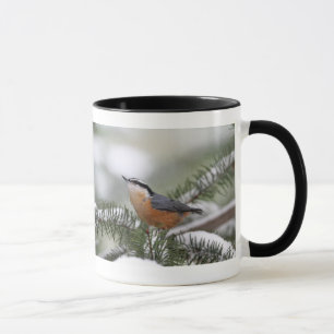 Caneca Pica-pau-cinzento no ramo nevado no inverno