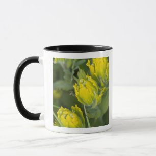 Caneca Pincel de Ouro Indiano Castilleja