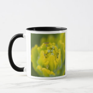 Caneca Pincel de Ouro Indiano Castilleja 2
